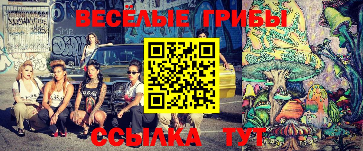 Псилоцибиновые грибы мицелий Нарткала