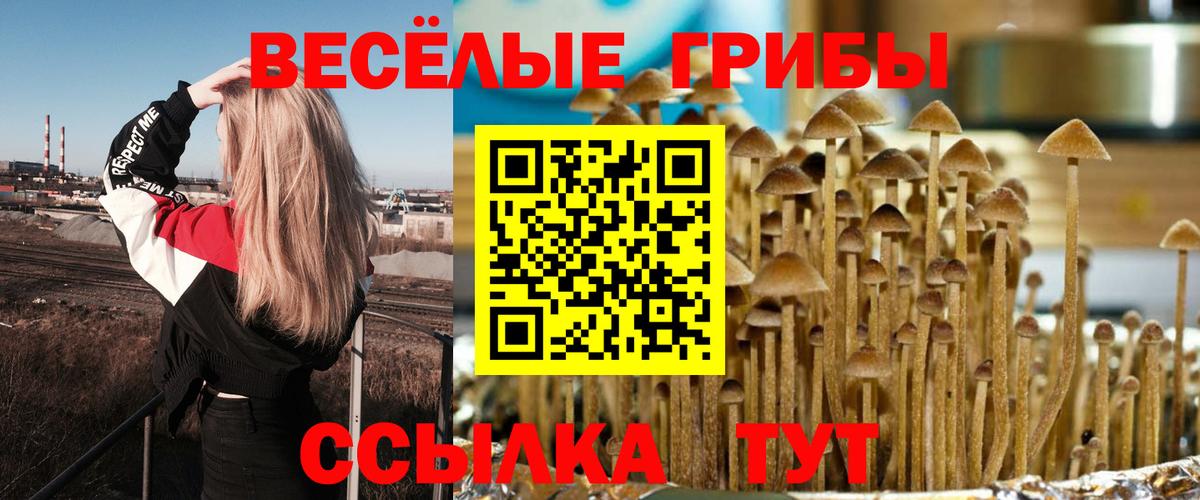 Нарткала  Псилоцибиновые грибы GOLDEN TEACHER  Псилоцибиновые грибы Psilocybine cubensis  Вход с VPN 